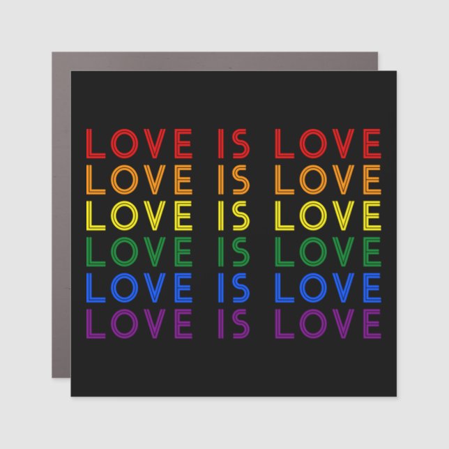 I Promise To Teach Love - Diversity, Equality and  Car Magnet (Front)