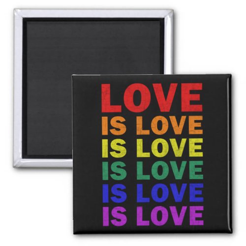 I Promise To Teach Love LGBT_Q Pride Proud Ally Te Magnet