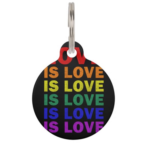 I Promise To Teach Love LGBT_Q Pride Proud Ally Te Pet ID Tag