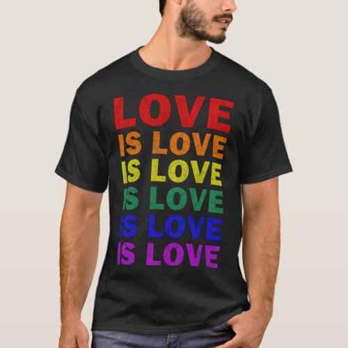 I Promise To Teach Love LGBT_Q Pride Proud Ally Te T_Shirt