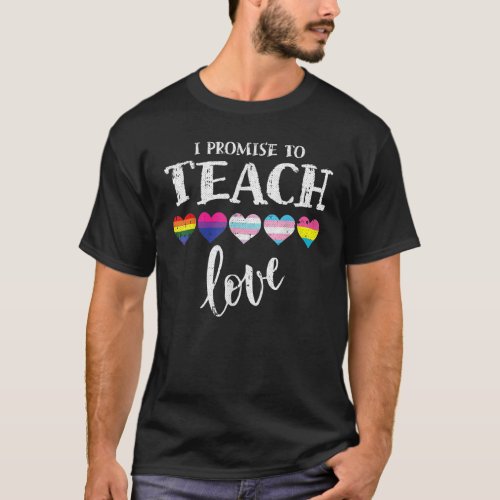 I Promise To Teach Love Lgbt Q Pride Proud Ally Te T_Shirt