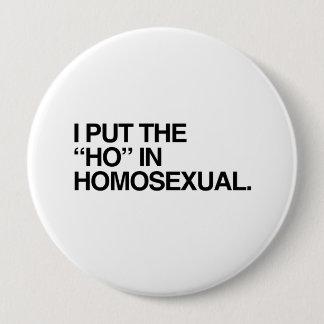 I PUT THE HO IN HOMOSEXUAL --.png Pinback Button