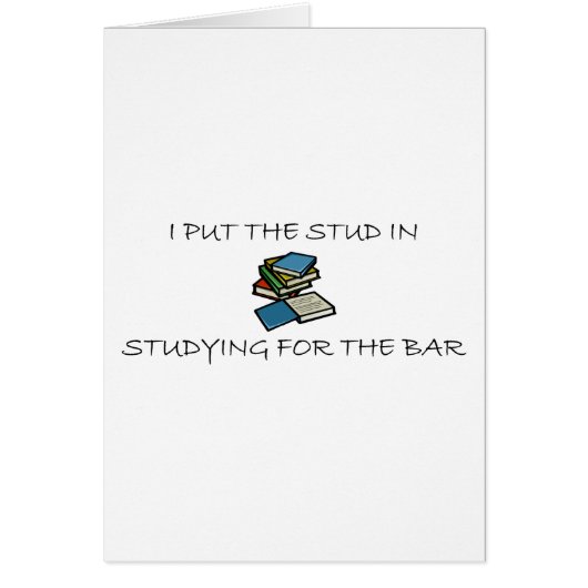 I Put The Stud In Studying For The Bar Cards (Front)