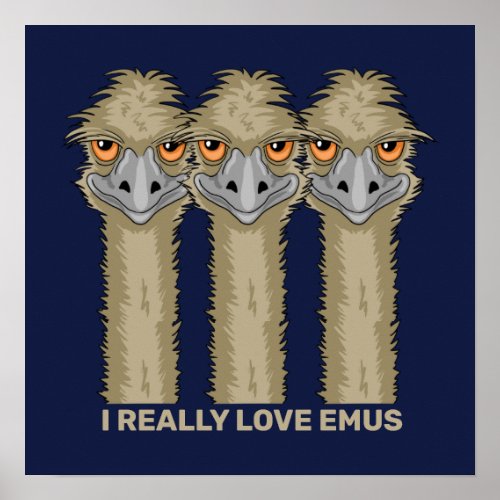 I Really Love Emus Poster