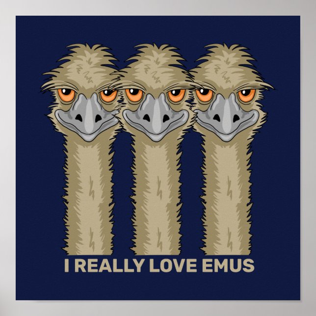 I Really Love Emus Poster (Front)