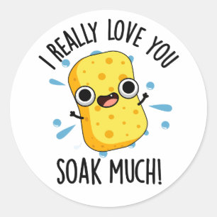 I Really Love You Soak Much Funny Sponge Pun  Classic Round Sticker