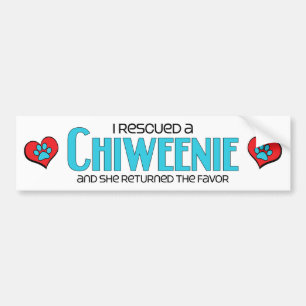 I Rescued a Chiweenie (Female) Dog Adoption Design Bumper Sticker