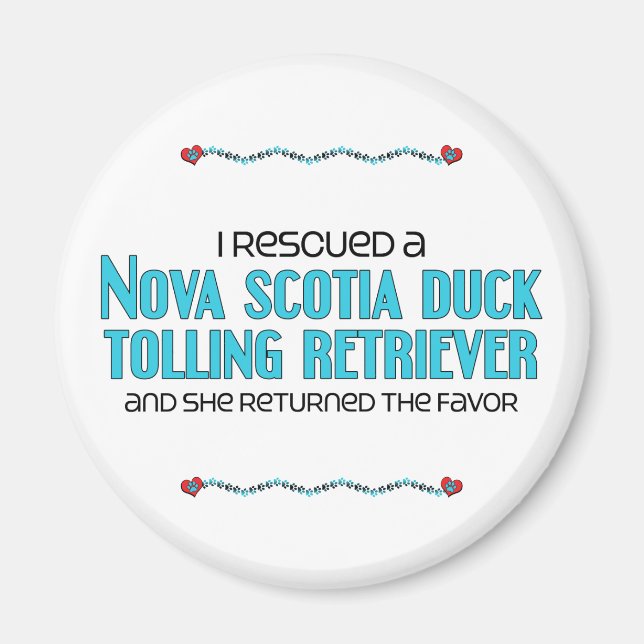 I Rescued a Duck Tolling Retriever (Female Dog) Magnet (Front)