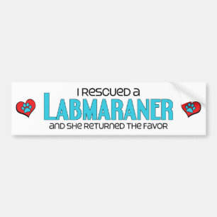 I Rescued a Labmaraner (Female) Dog Adoption Bumper Sticker
