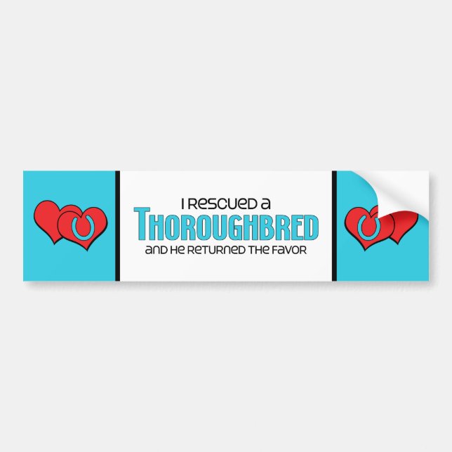 I Rescued a Thoroughbred (Male Horse) Bumper Sticker (Front)