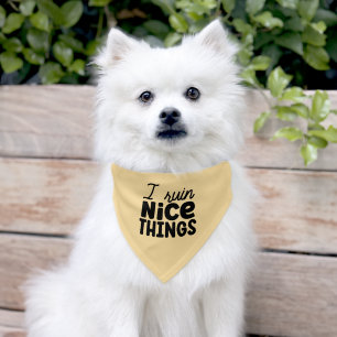 I Ruin Nice Things Pet Bandana Collar