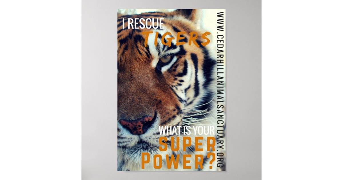 I Save Tigers Super Power Poster Zazzle Com