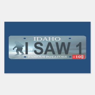 "I Saw 1" Sasquatch License Plate Rectangular Sticker
