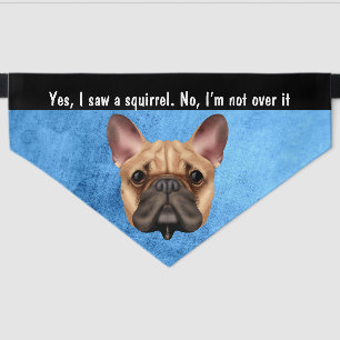 I saw a squirrel French BullDog Pet Bandana Collar
