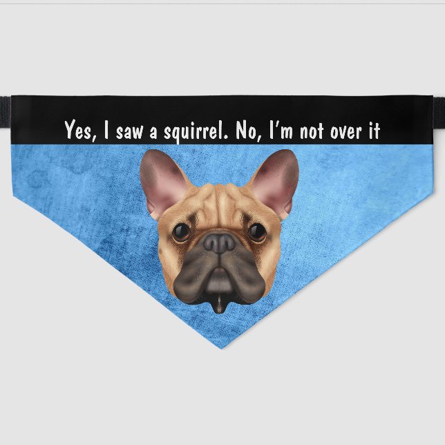 I saw a squirrel French BullDog Pet Bandana Collar (Front)