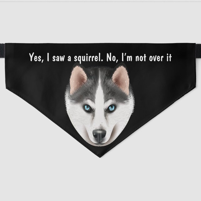 I saw a squirrel Husky Pet Bandana Collar (Front)