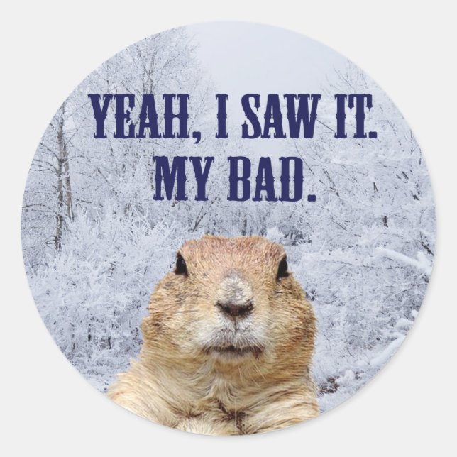 I Saw It Groundhog Day Classic Round Sticker (Front)