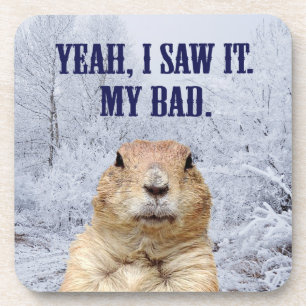 I Saw It Groundhog Day Drink Coaster