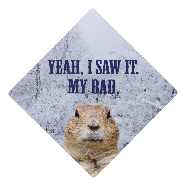 I Saw It Groundhog Day Graduation Cap Topper (Front)