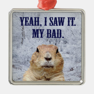 I Saw It Groundhog Day Metal Ornament