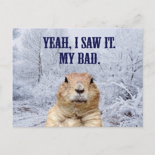 I Saw It Groundhog Day Postcard