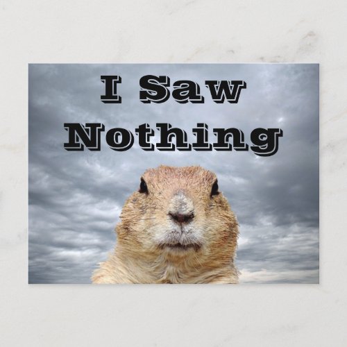 I Saw Nothing on Groundhog Day Postcard