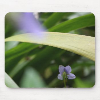I Saw You Wild Violets Floral Photography Mousepad by PBsecretgarden at Zazzle