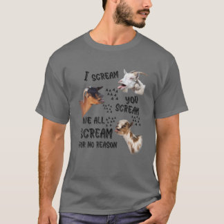 I Scream You Scream We All Scream For No Reason Go T-Shirt