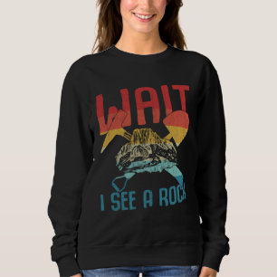 I See A Rock Geology Geologist Rocks Collector Gr Sweatshirt