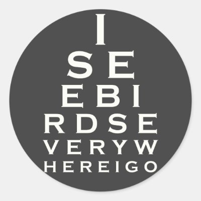 I See Birds Eyechart Classic Round Sticker