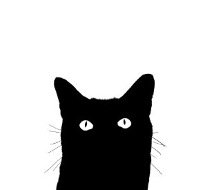 Cat Lover Bar Wine Accessories Zazzle