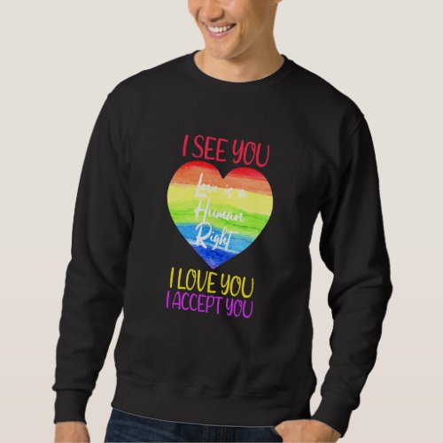 I See I Love You I Accept You Lgtbq Stuff Pride Al Sweatshirt