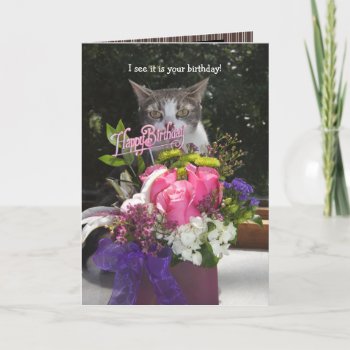 I See It Is Your Birthday Cute Cat Birthday Card by myrtieshuman at Zazzle
