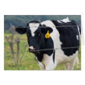 I See You (Front Horizontal)