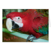 I See You (Front Horizontal)