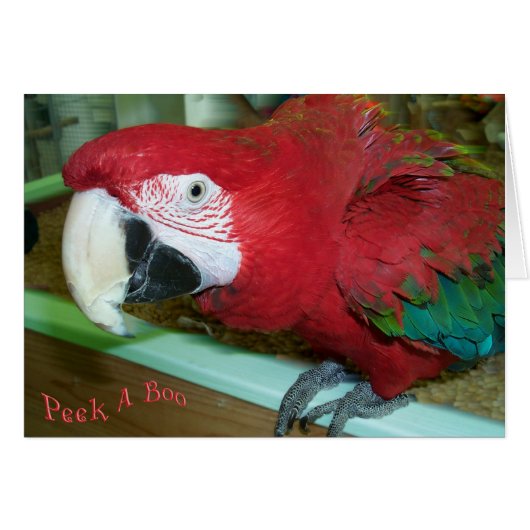 I See You (Front Horizontal)