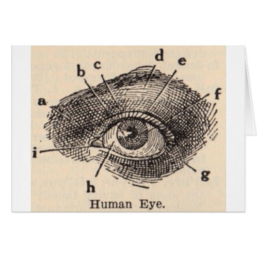 I See You (Front Horizontal)