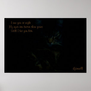 I see you at night Cat Haiku Poster