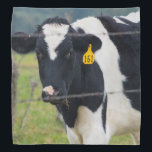 I See You Bandana<br><div class="desc">Cattle are the most common type of large domesticated ungulates. They are raised as livestock for meat (beef and veal), Looking for more prints or products? Feel free to visit my store: http://www.zazzle.com/timelessmomentsphtgy This photo was taken by Jennifer White with Timeless Moments Photography. All images are copyrighted © Timeless Moments...</div>