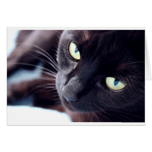 I See You! Cards (Front Horizontal)