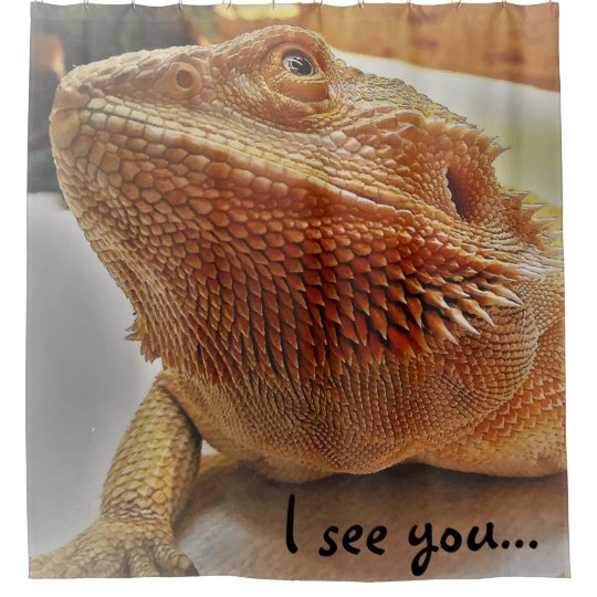I See You Funny Orange Bearded Dragon Picture Shower Curtain I See You Funny Orange Bearded Dragon Picture Shower Curtain