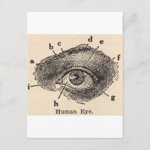I See You Postcard