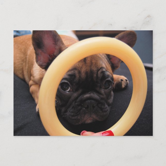 "I See You" Postcard (Front)