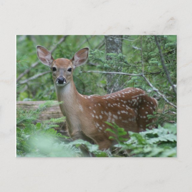 I See You Postcard (Front)