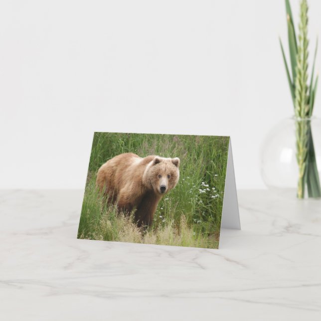 I See you staring bear Card (Front)