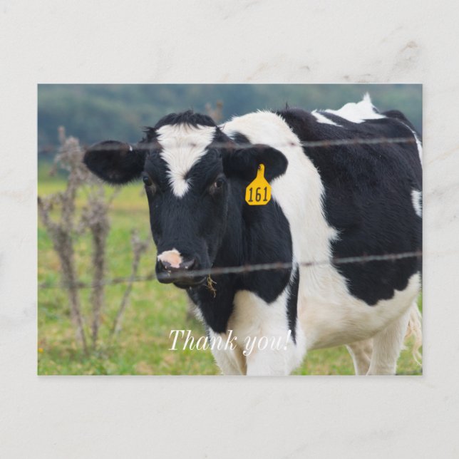 I See You Thank You Postcard (Front)