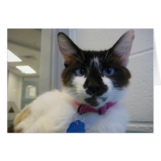 I See You Too (Front Horizontal)