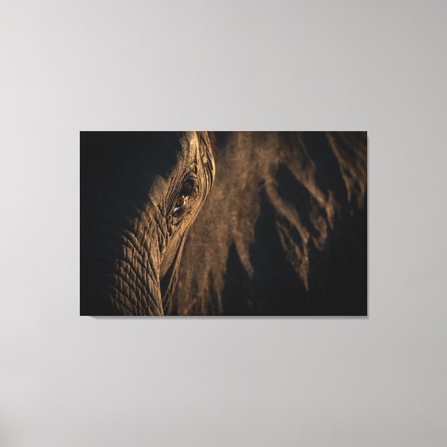'I see your soul' Elephant eye Canvas Print (Front)