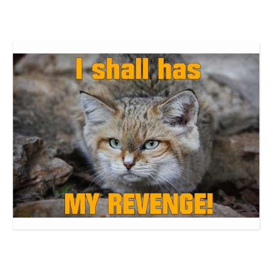 I shall has MY REVENGE! Postcard