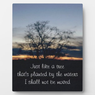 I Shall Not Be Moved Tree Photograph Plaque